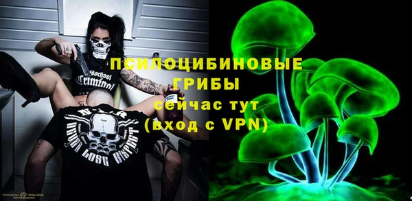 стафф Вяземский