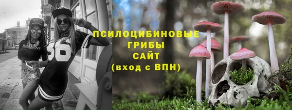 дурь Вязьма