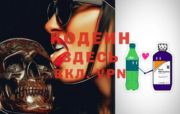 стафф Вяземский