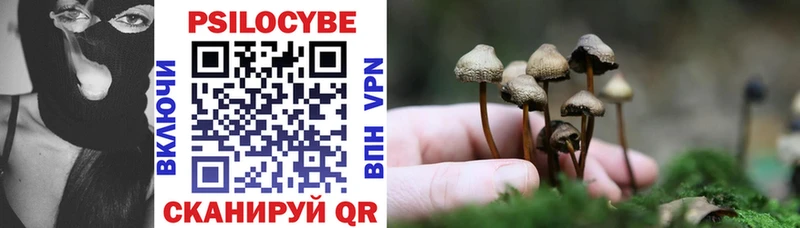 shop наркотические препараты  Копейск  Псилоцибиновые грибы Magic Shrooms  ссылка на мегу как войти 
